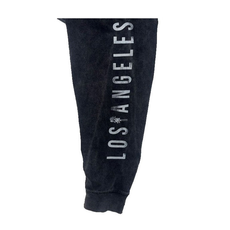 Cloudy Palms Los Angeles Hoodie (Charcoal Mineral)